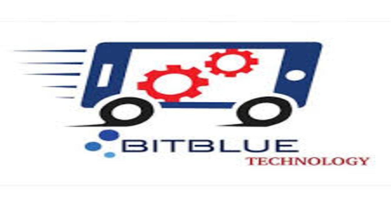 Bitblue Technology is looking for Technical Support Engineer